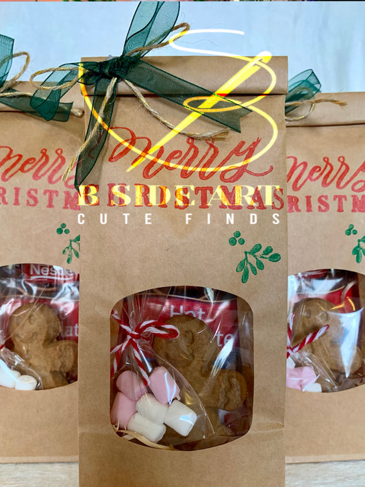 Christmas Cute Handmade Small Gift Bag for Coworkers & Friends